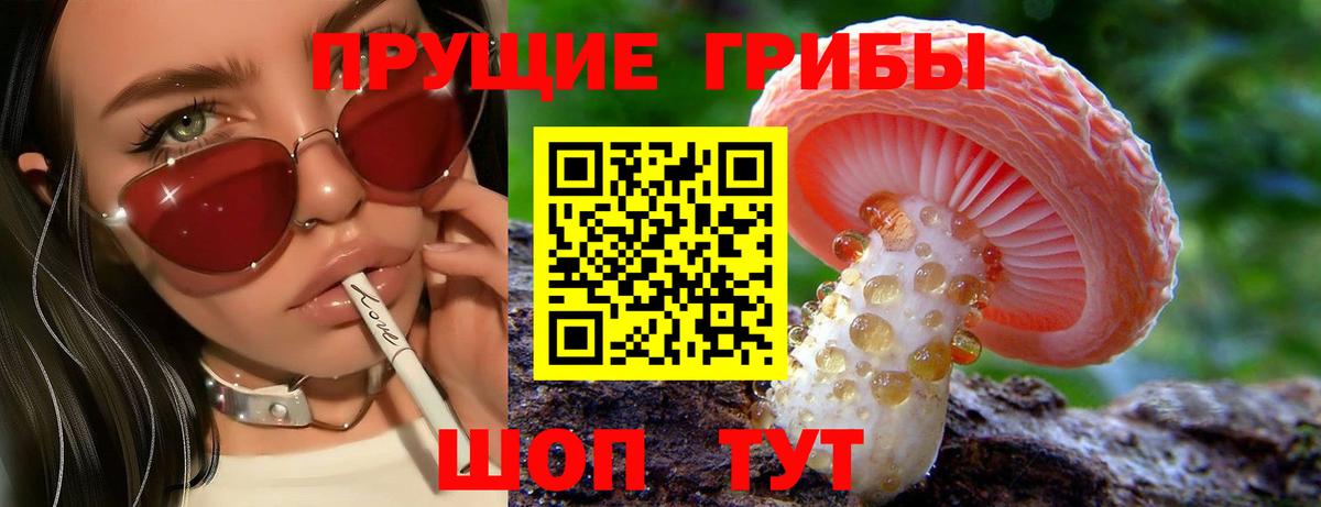 Галлюциногенные грибы прущие грибы  Вход с VPN  Псилоцибиновые грибы прущие грибы  магазин  наркотиков  Малгобек 