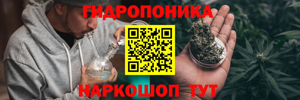 Шишки марихуана марихуана Малгобек